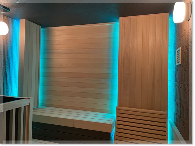 スチームミストサウナ