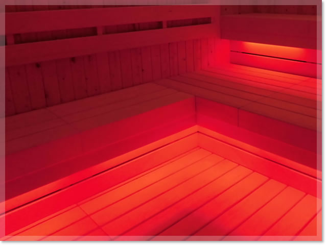 スチームミストサウナ