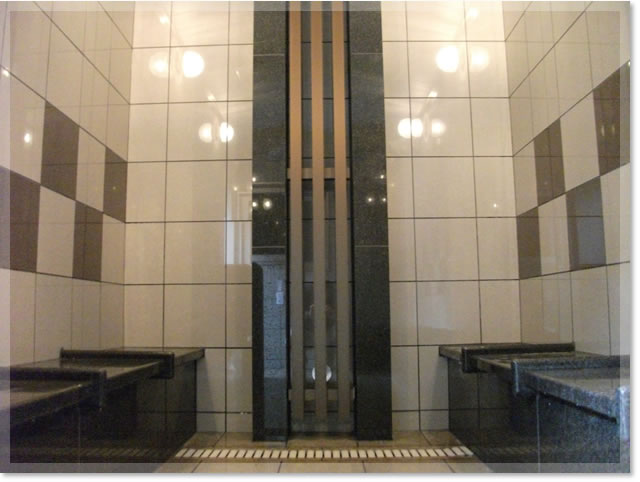 ナノミストサウナ