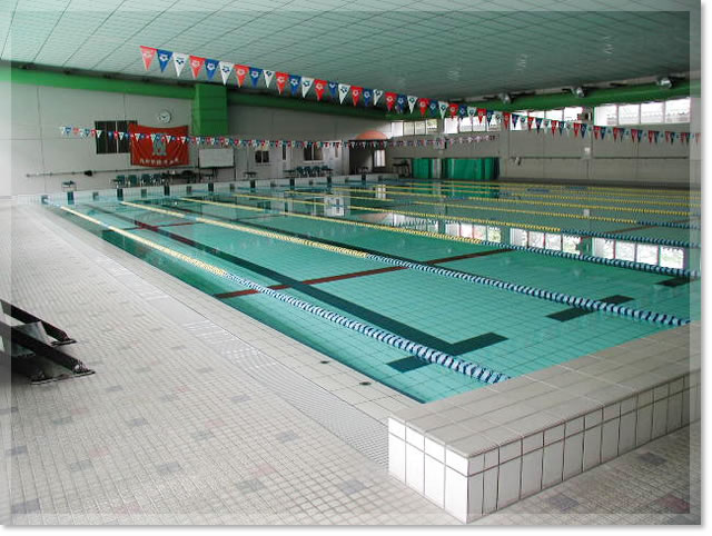 スイミングプール