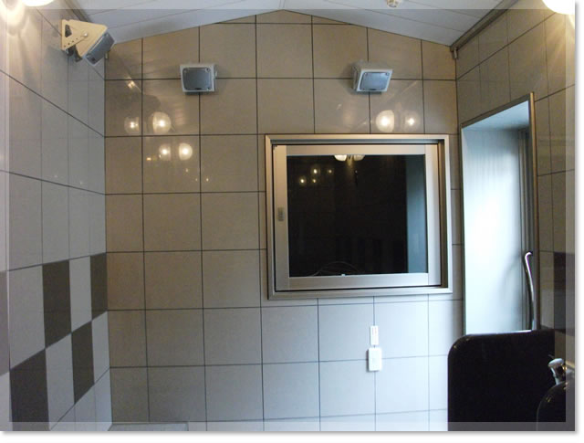 水口温泉つばきの湯［ナノミストサウナ］