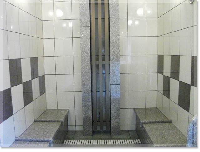 水口温泉つばきの湯［ナノミストサウナ］